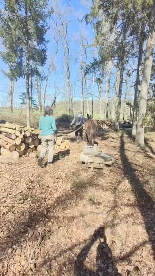 Travail à l'ancienne et écologique...