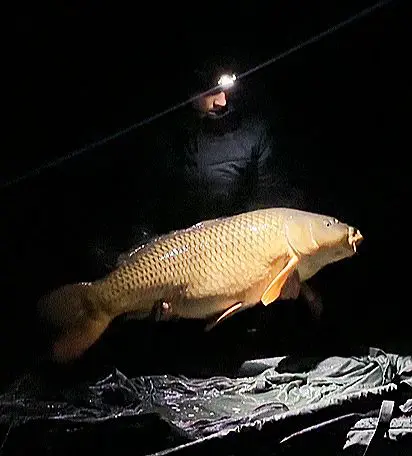 L'étang est dégelé depuis 2 jours, les sessions pe...