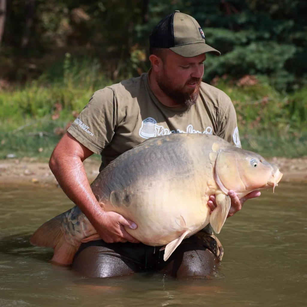Les poissons sont en activité en ce mois d'août co...