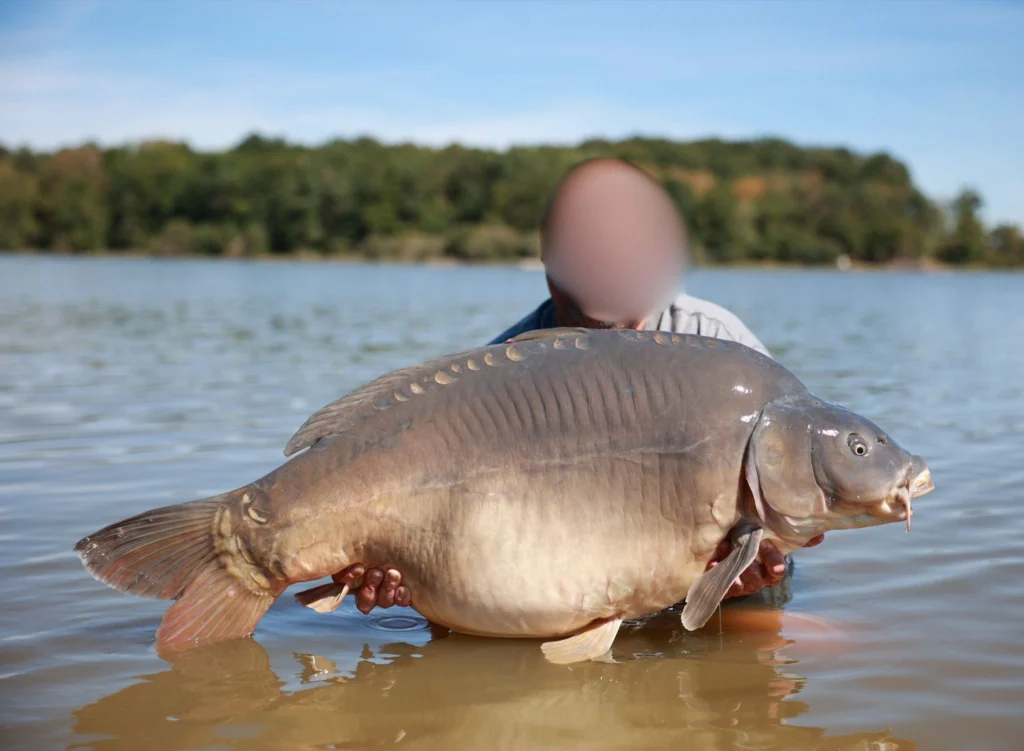 La voici cette miroir de 29+ dite "La Belge" que n...