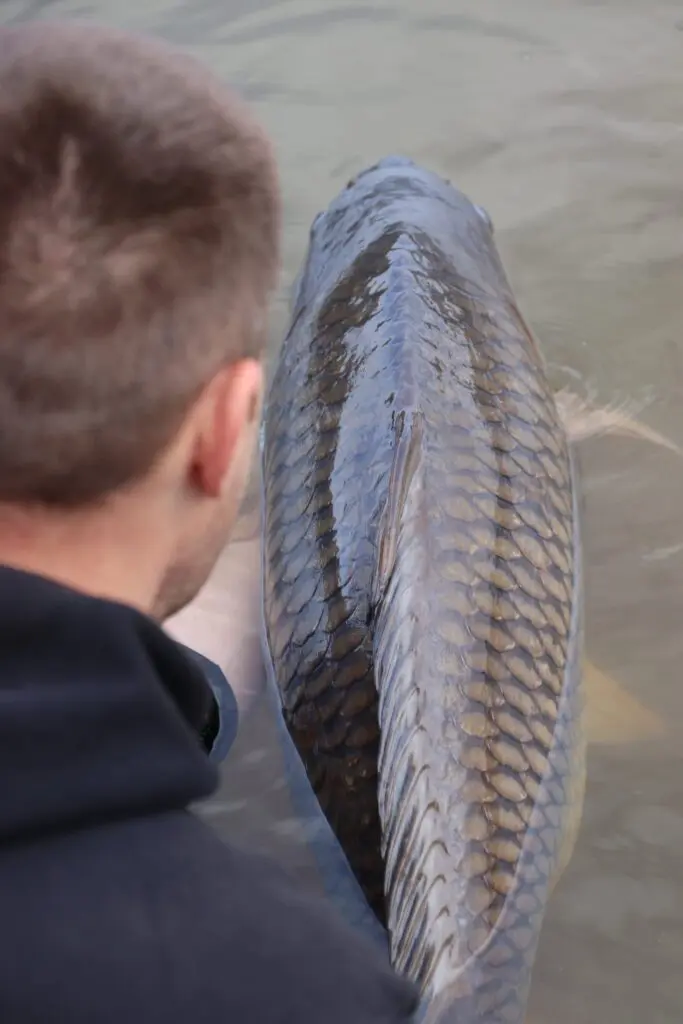 Grégory Martin de la team Starbaits avec une...