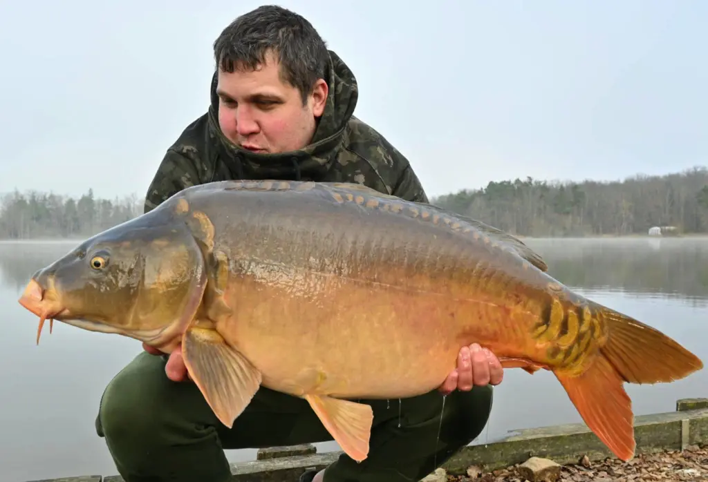 Poste F "Le Grand Chêne"...