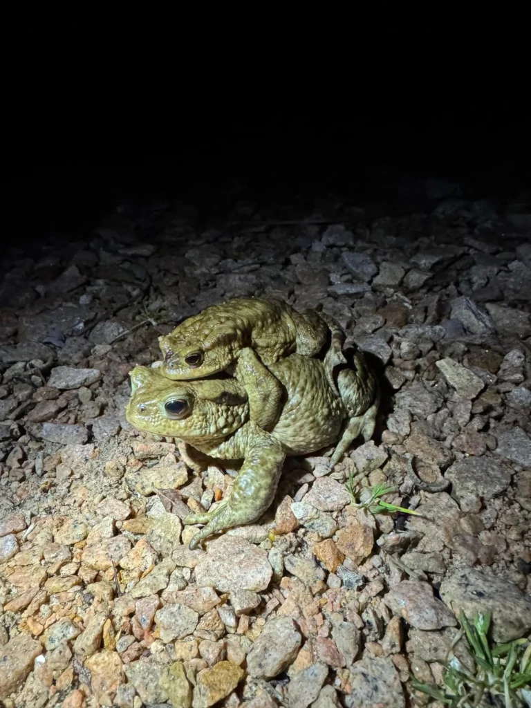 Bon samedi soir à toutes et tous...