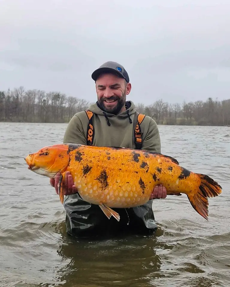 Il suffit d'une touche pour prendre un poisson d'e...DOMAINE RIVALAIS | SITE DE PECHE CARPE & CARNASSIERS - ALLIER - AUVERGNE