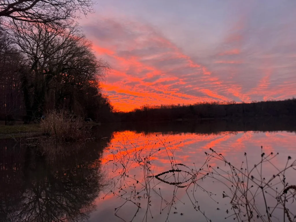 Je pense qu'il va y avoir battle entre les 2 étang...