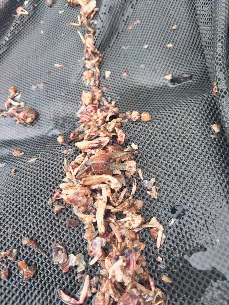 Pour une certaine miroir de 27kg prise aujourd'hui...